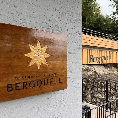 Haus Bergquell App 2 Willingen (Upland)